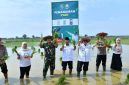 Dukung Ketahanan Pangan, Wabup Sumenep Pimpin Gerakan Tanam Padi Serentak