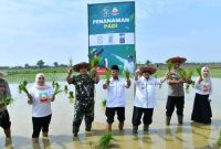 Dukung Ketahanan Pangan, Wabup Sumenep Pimpin Gerakan Tanam Padi Serentak