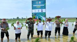 Dukung Ketahanan Pangan, Wabup Sumenep Pimpin Gerakan Tanam Padi Serentak