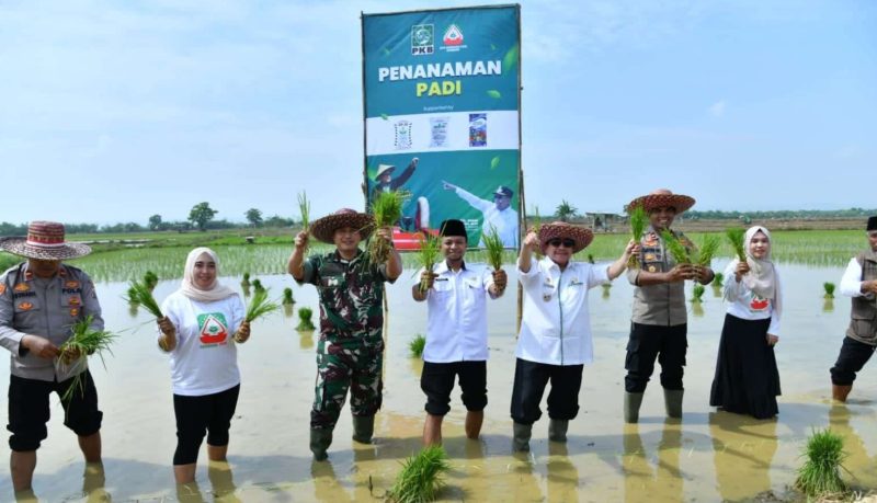 Dukung Ketahanan Pangan, Wabup Sumenep Pimpin Gerakan Tanam Padi Serentak