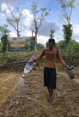 berita-rekomendasi-foto